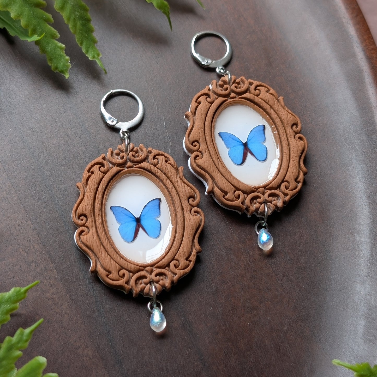 Framed Blue Morpho Specimen Huggy Hoop Earrings
