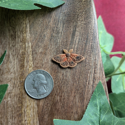 Moth Magnet