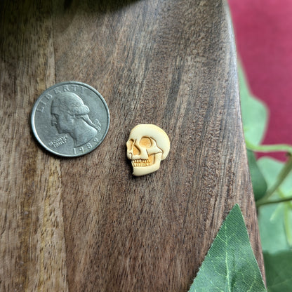 Skull Magnet