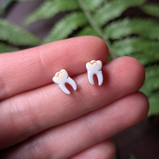 Tooth Studs