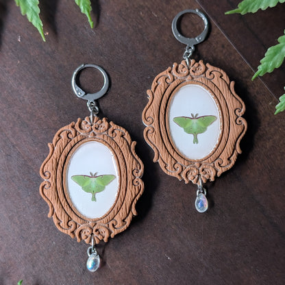 Framed Luna Moth Dangle Earrings