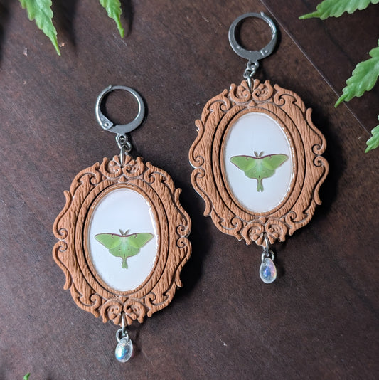 Framed Luna Moth Dangle Earrings